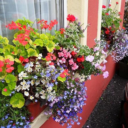 Achill House Otel Cork Dış mekan fotoğraf