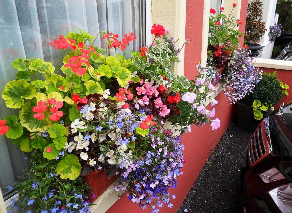 Achill House Otel Cork Dış mekan fotoğraf